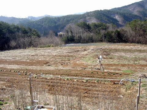 バルコニーからの南東側