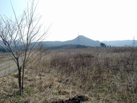 借用する予定の土地は左手の道路から右側の部分