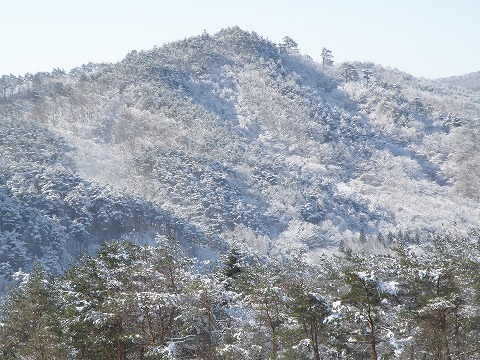 雪の南山
