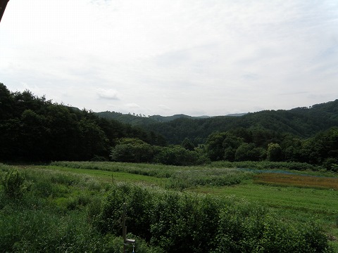쓌