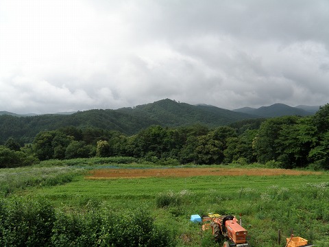 827@oRj[̓쑤