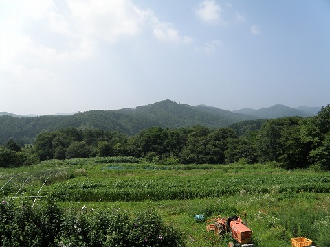 923@oRj[̓쑤