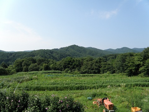 840@oRj[̓쑤