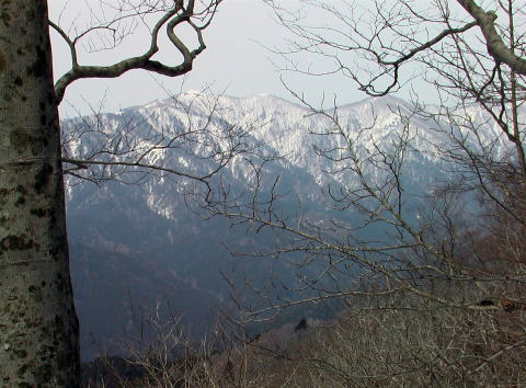 猩nڊx-1